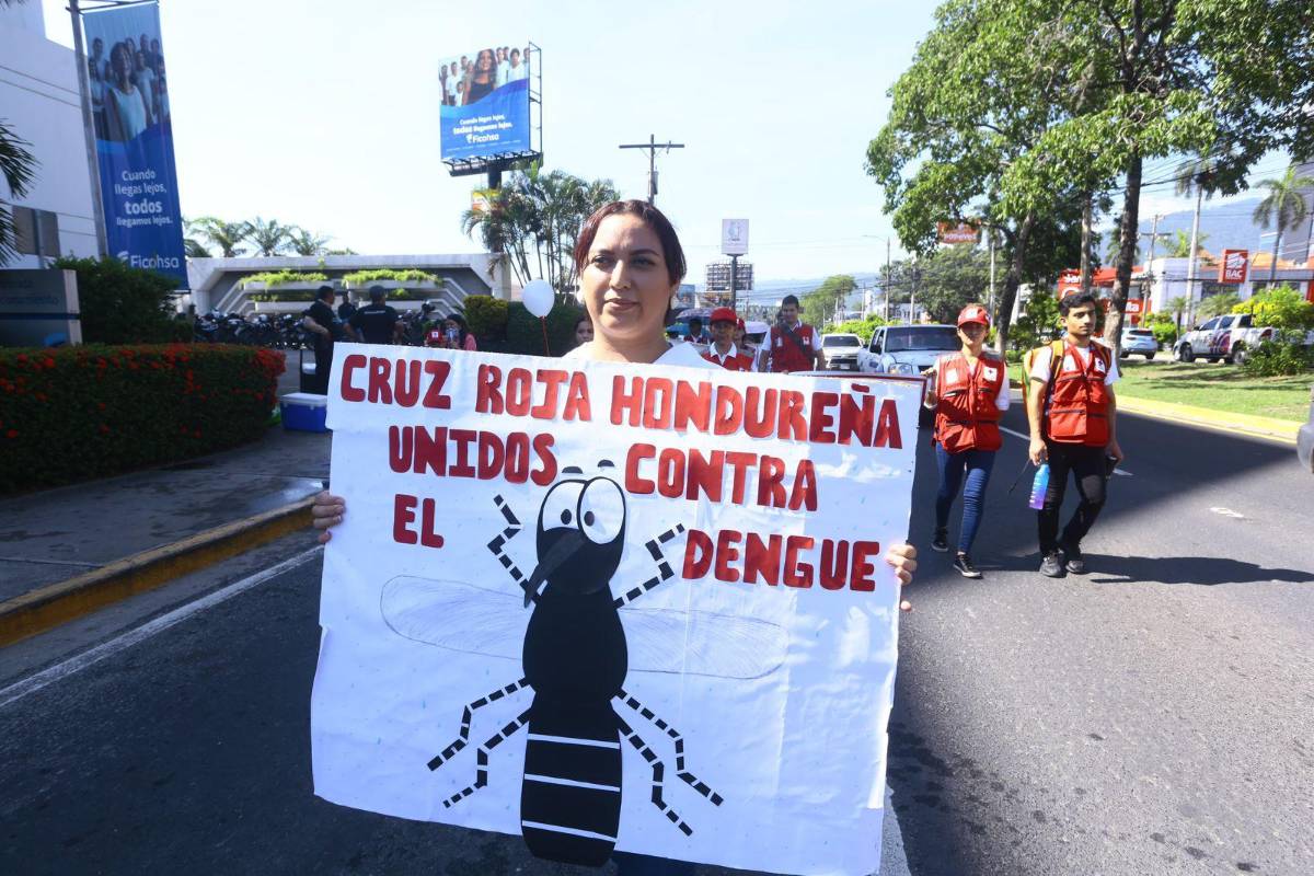Imágenes de la marcha “Todos contra el dengue” en San Pedro Sula