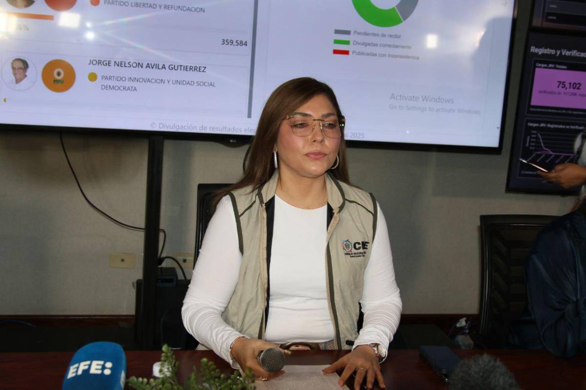 Las ocho frases más relevantes del CNE tras paralización de resultados