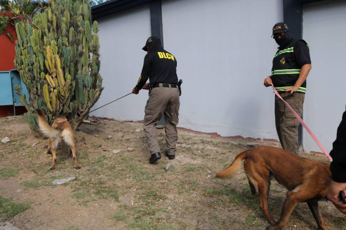 Con perros y ariete rompepuertas: así fue el allanamiento en casa de Romeo Vásquez