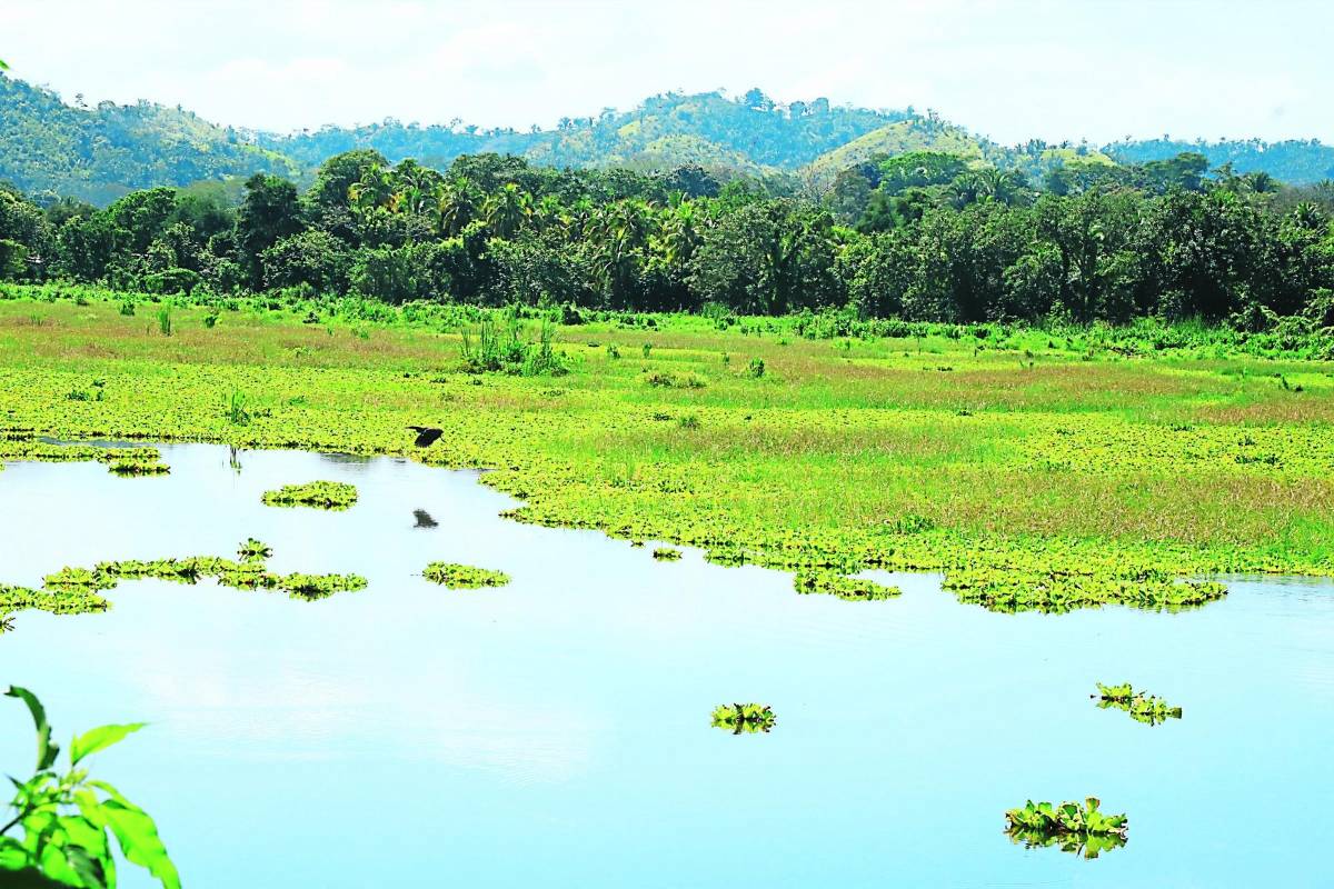 El ICF firmará tres convenios para la protección de áreas y recursos