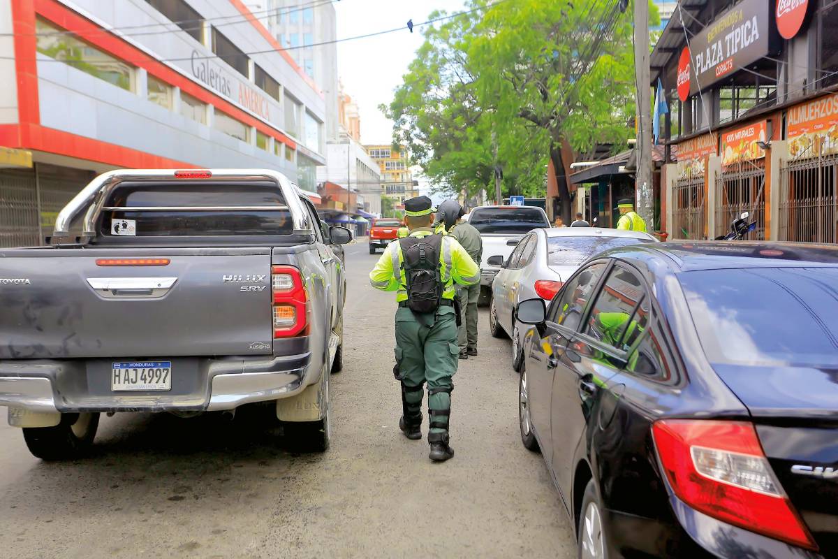 Se inmovilizarán los carros que estén en medianas y áreas verdes