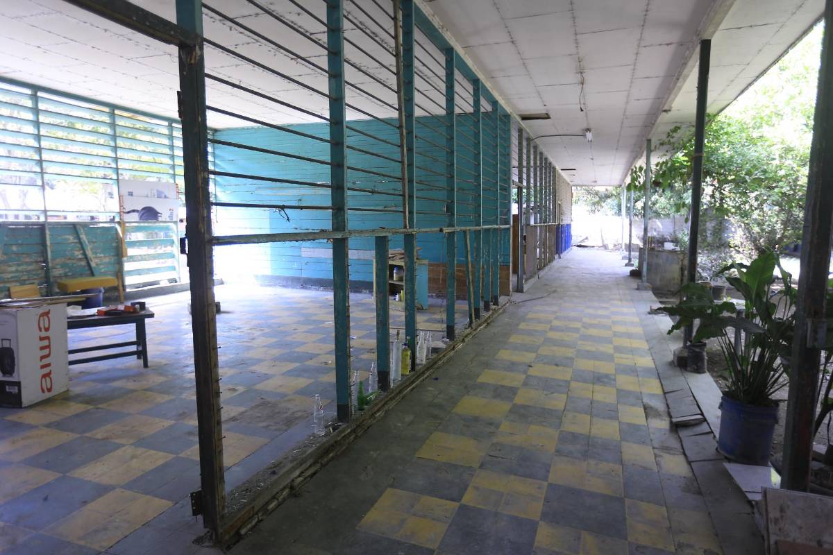 Shin Fujiyama y Roberto Contreras inician remodelación en escuela Dionisio de Hererra