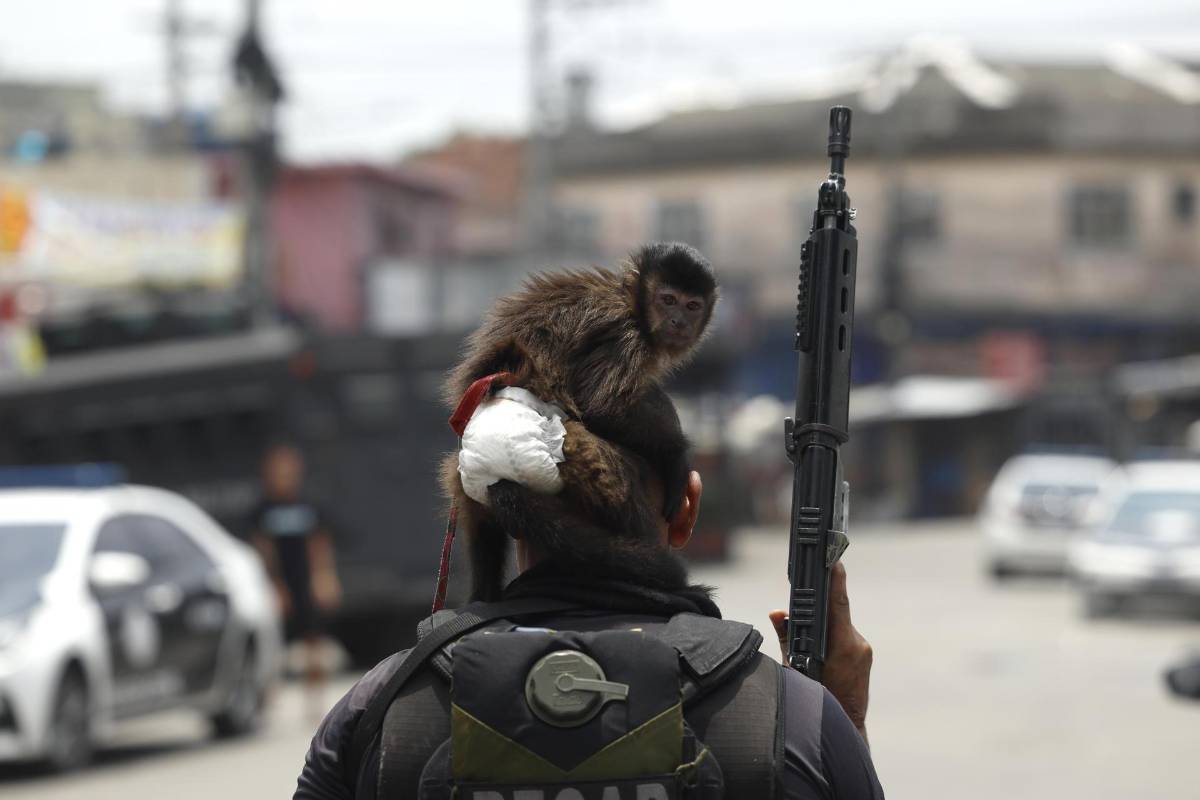 Muertos, detenidos y decomisos: así fue el operativo contra las drogas en Brasil