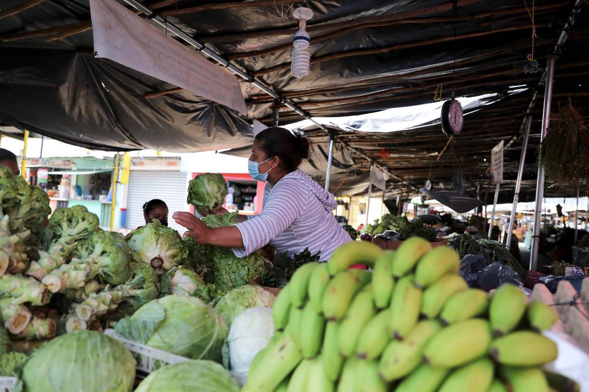 FAO pide 37,7 millones de dólares para enfrentar el hambre en Centroamérica