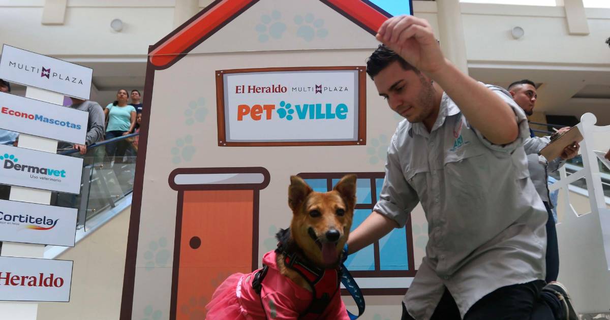 Todo listo para el “Pet Ville 2023” Todo listo para el “Pet Ville 2023”