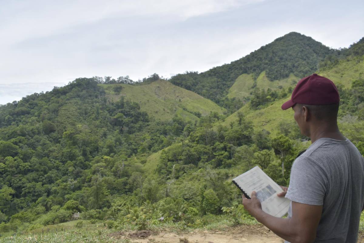 Quinito, un escondido paraíso en Colón, donde el verde del bosque se encuentra con el azul del mar