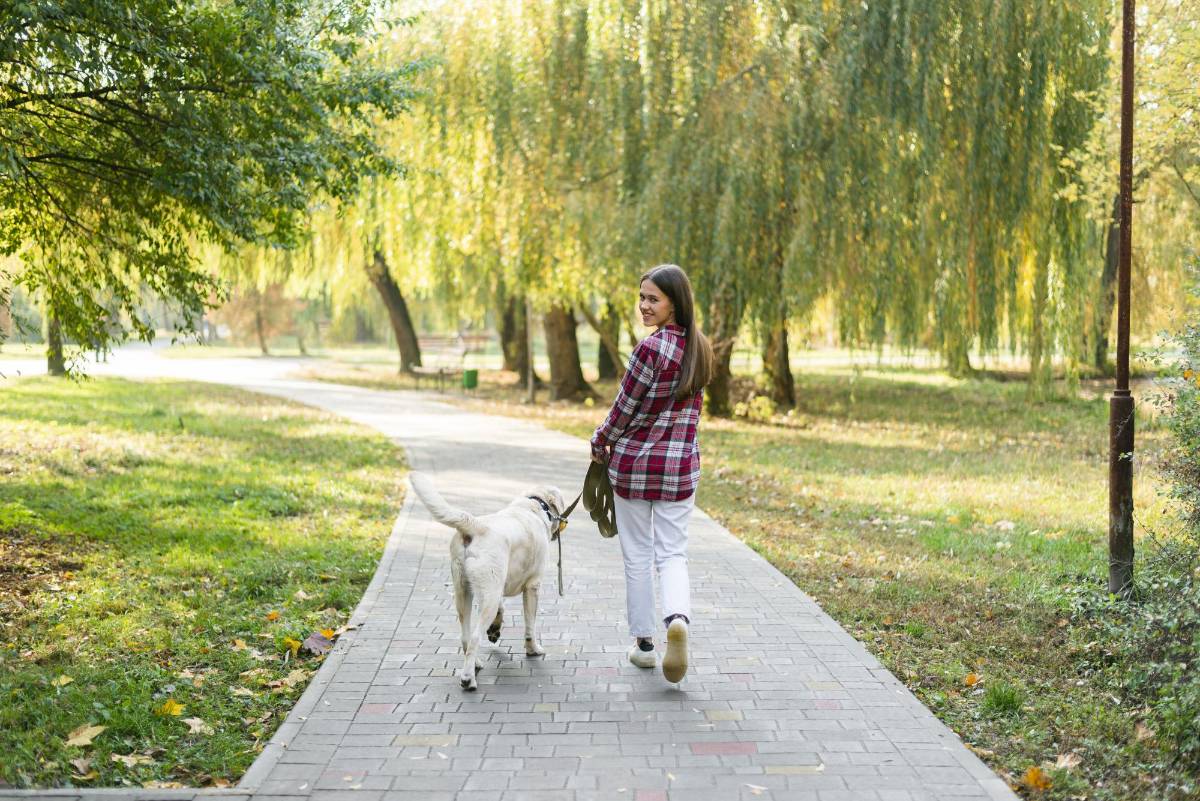 Salir a caminar es sinónimo de salud y buena calidad de vida