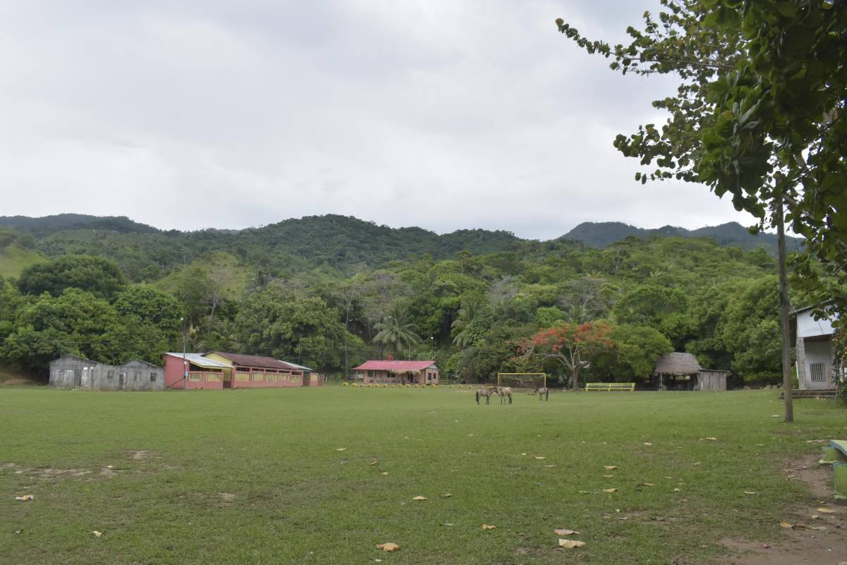 Quinito, un escondido paraíso en Colón, donde el verde del bosque se encuentra con el azul del mar