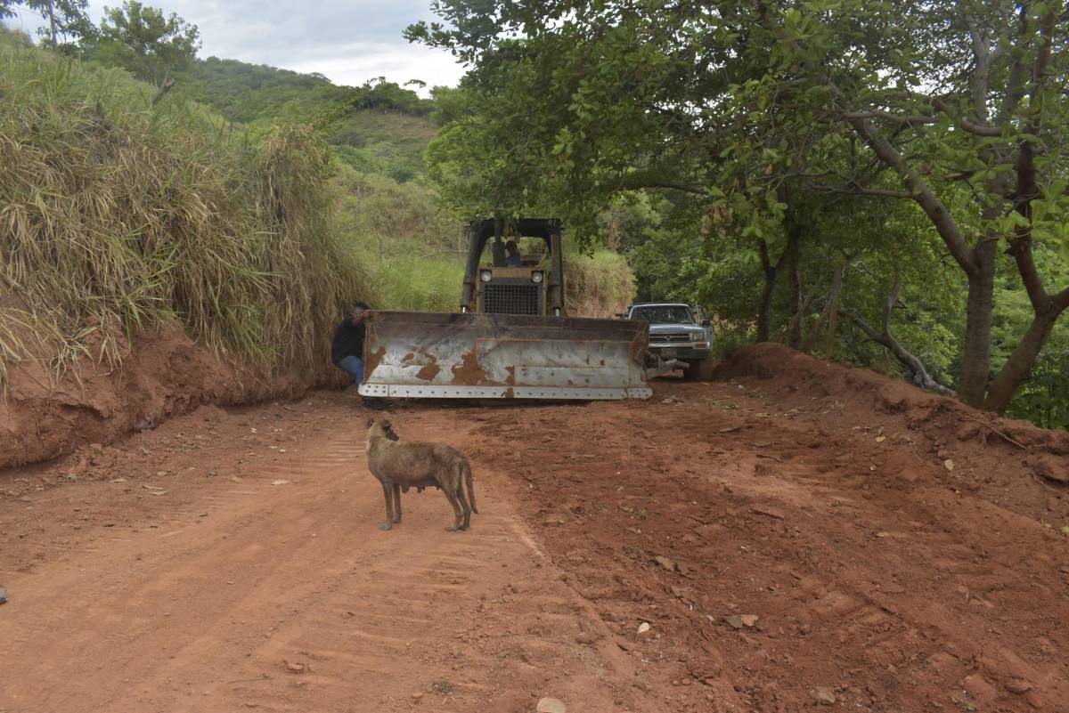 Quinito, un escondido paraíso en Colón, donde el verde del bosque se encuentra con el azul del mar