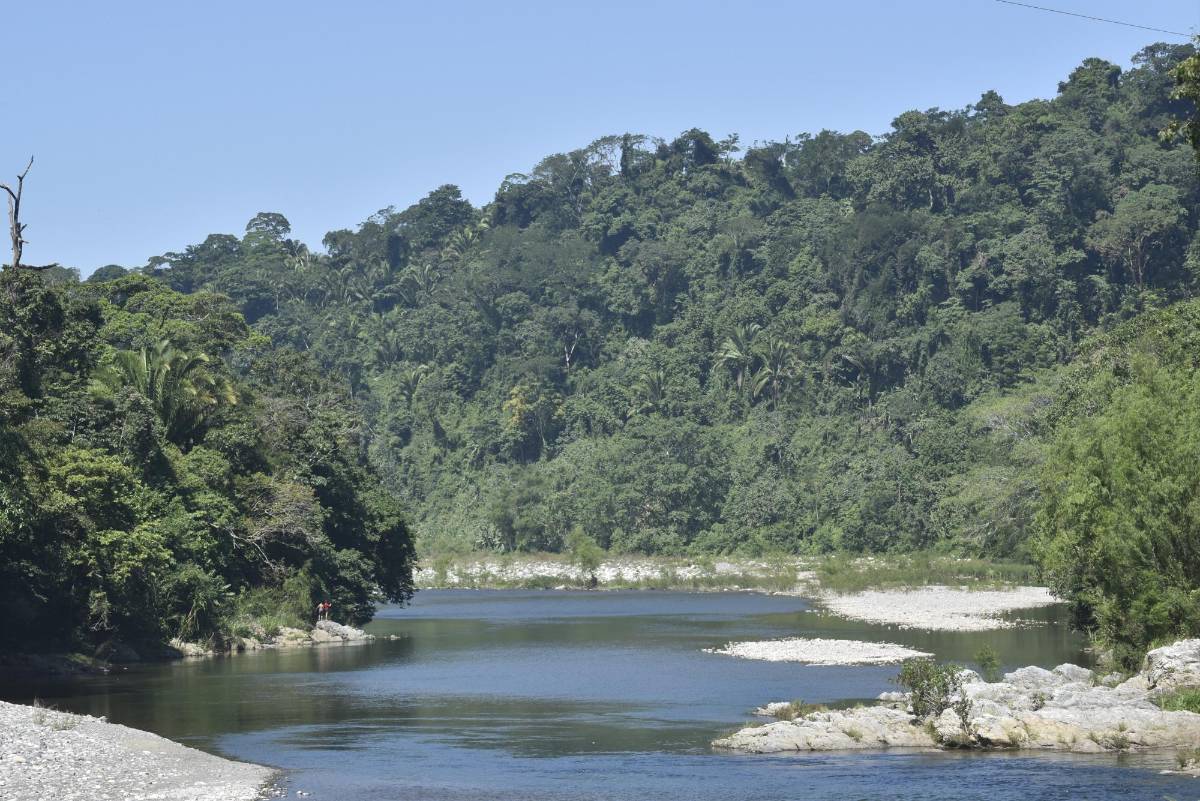 El Cangrejal tiene más zonas donde nadie puede entrar