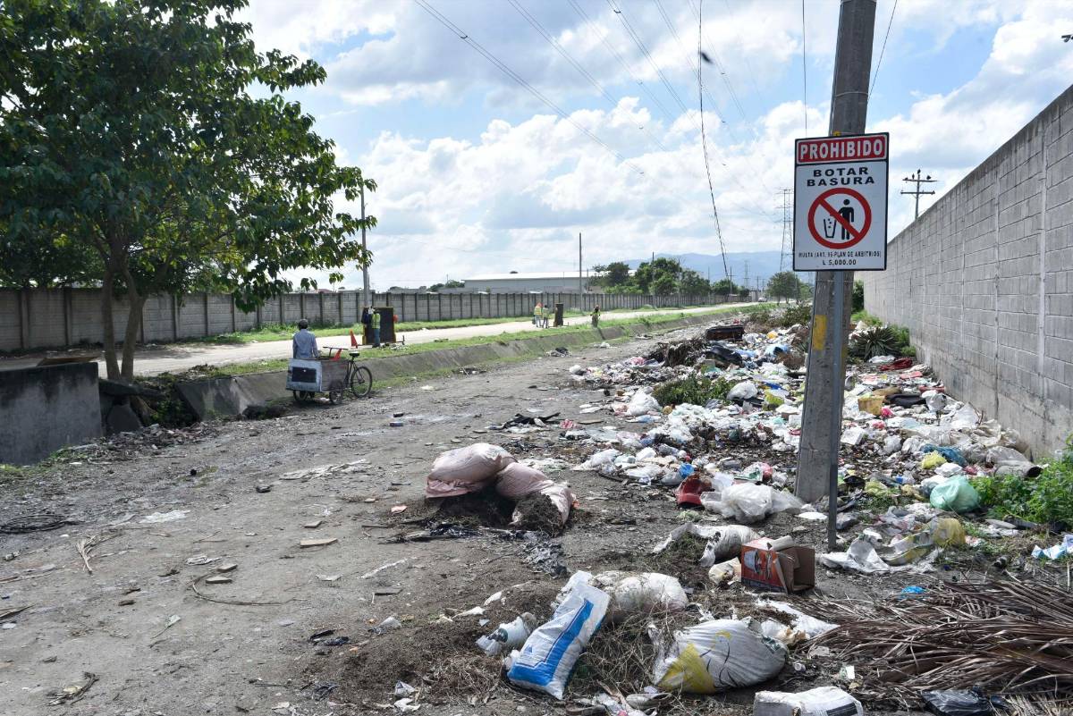 Un botadero donde dejan hasta muertos