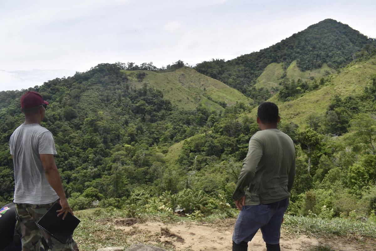 Diez años deforestando el cerro Capiro en Colón y nadie hace algo