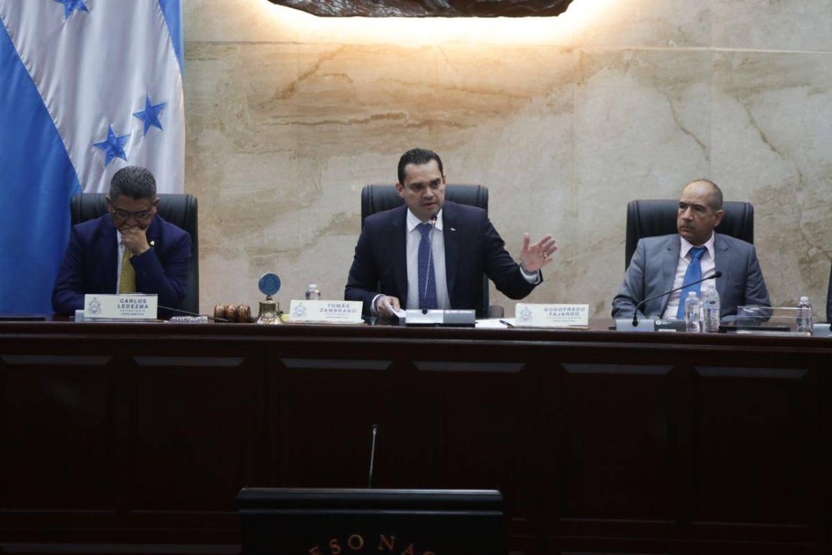 Tomás Zambrano fija agenda legislativa con énfasis en vida, empleo y salud