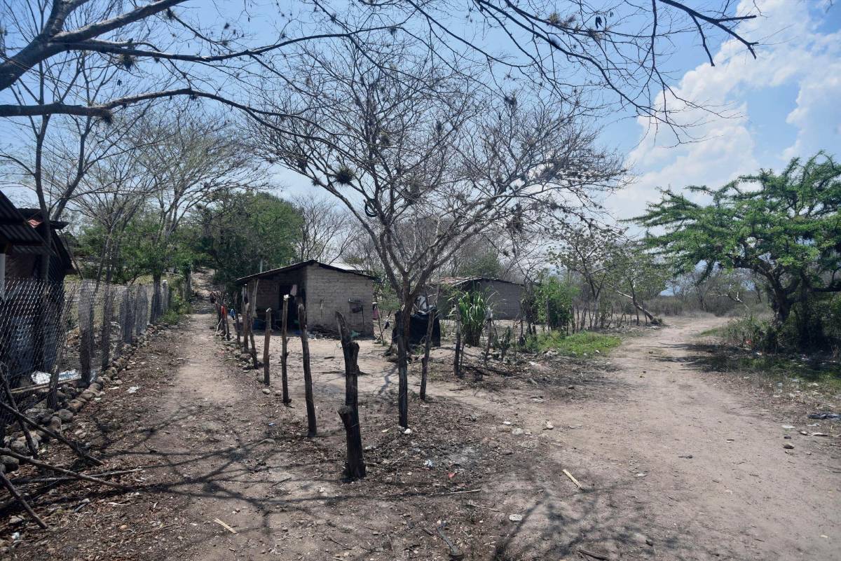 Copeco no da informe por sequía