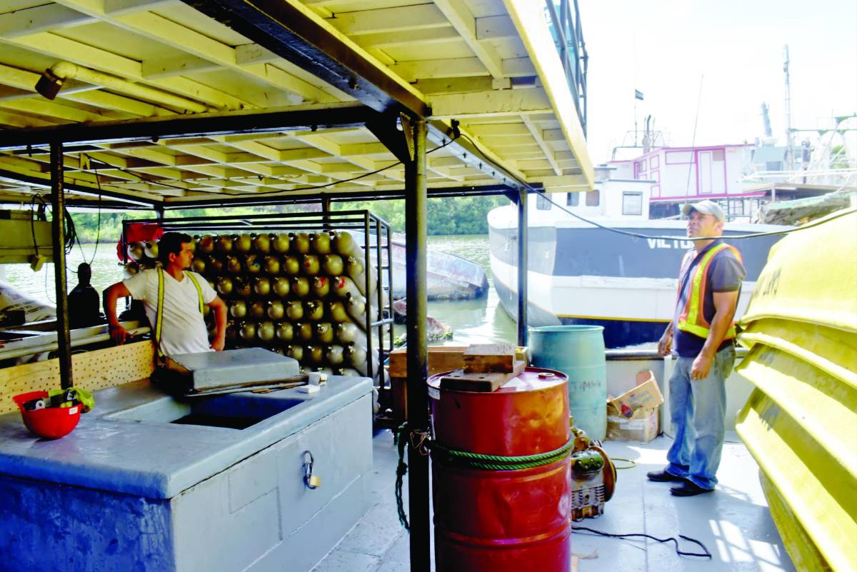 Pescadores luchan con pesca ilegal y cambio climático al abrirse veda