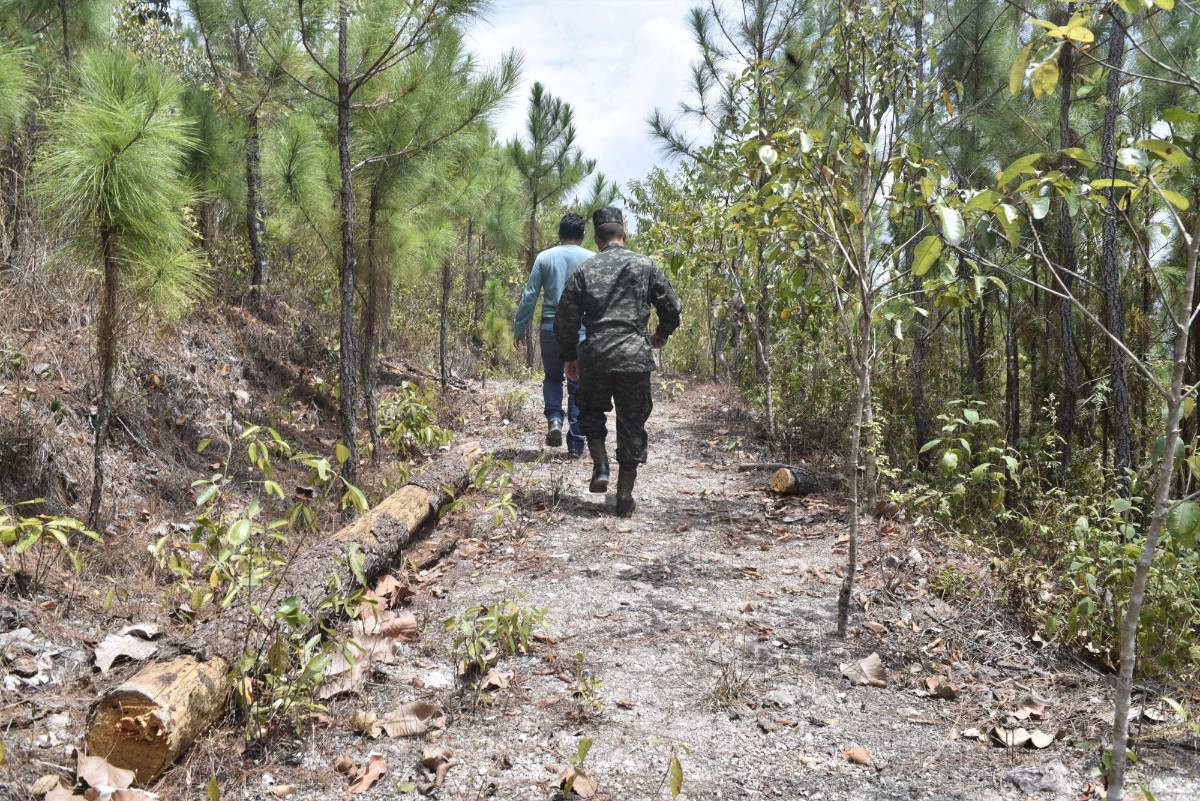 En El Cajón se preparan para la primera gran feria turística