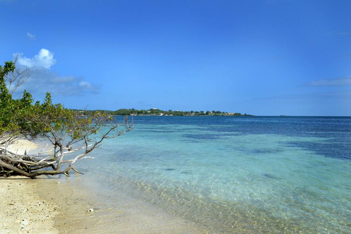 Declaran oficialmente El Niño a nivel global, con probable subida de temperaturas este año