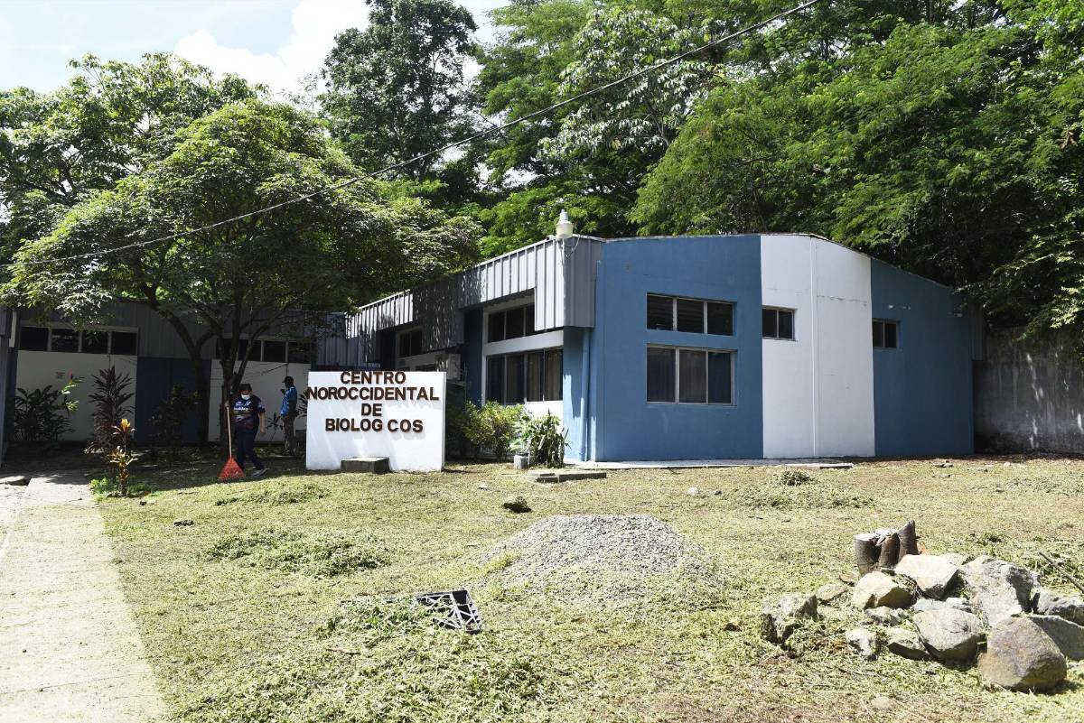 Despedirán a dos empleados por daño de más de 140 mil vacunas