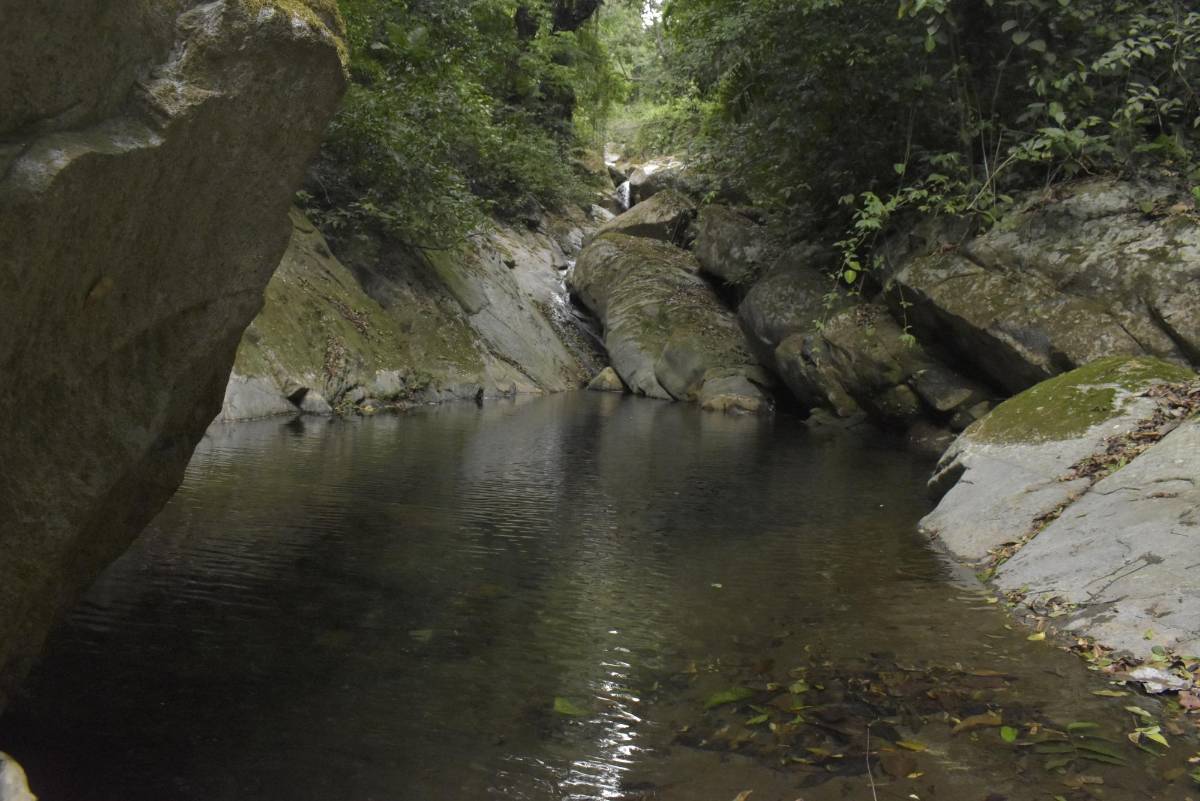 Quinito, un escondido paraíso en Colón, donde el verde del bosque se encuentra con el azul del mar