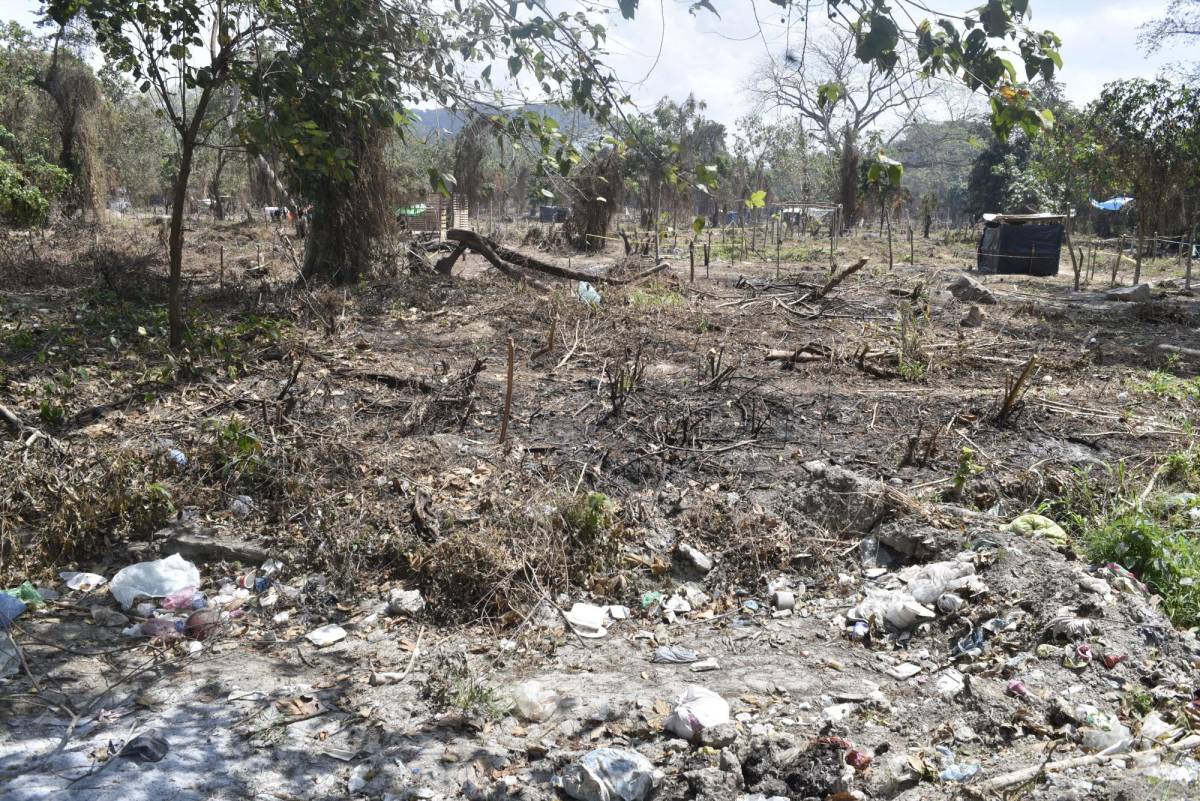 Siguen podando árboles y lanzando basura en un sitio que por años ha sido protegido y urge de una reglamentación para que por lo menos puedan cercar la zona.