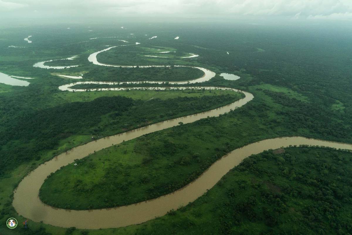 La zona de amortiguamiento del río Plátano se encuentra cerca de la carretera.