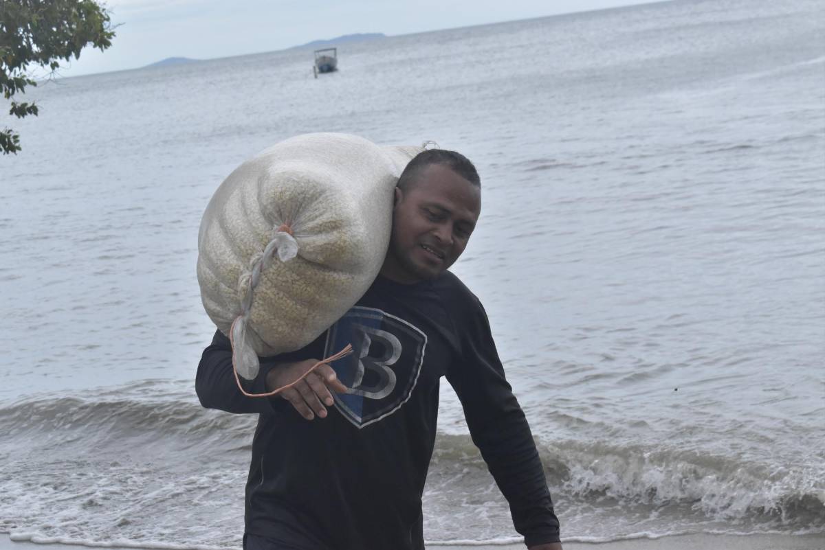 Quinito, un escondido paraíso en Colón, donde el verde del bosque se encuentra con el azul del mar
