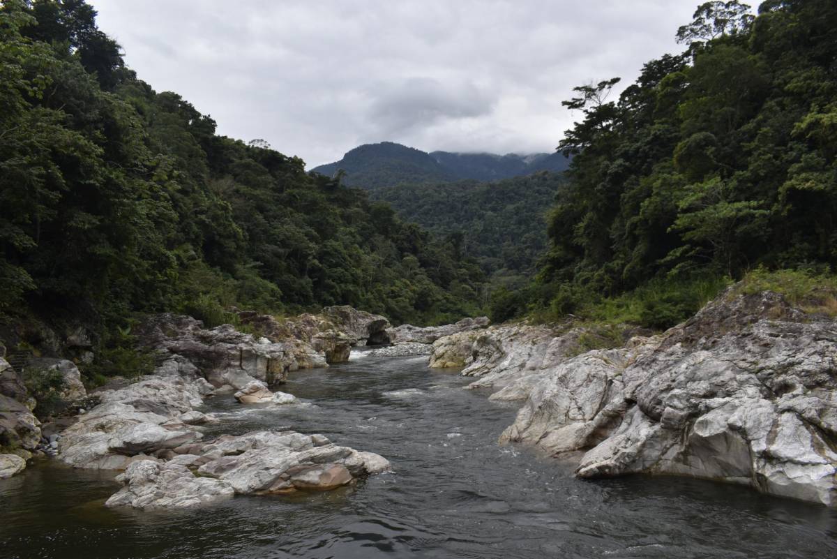Ceibeños marcan territorio en defensa del río Cangrejal