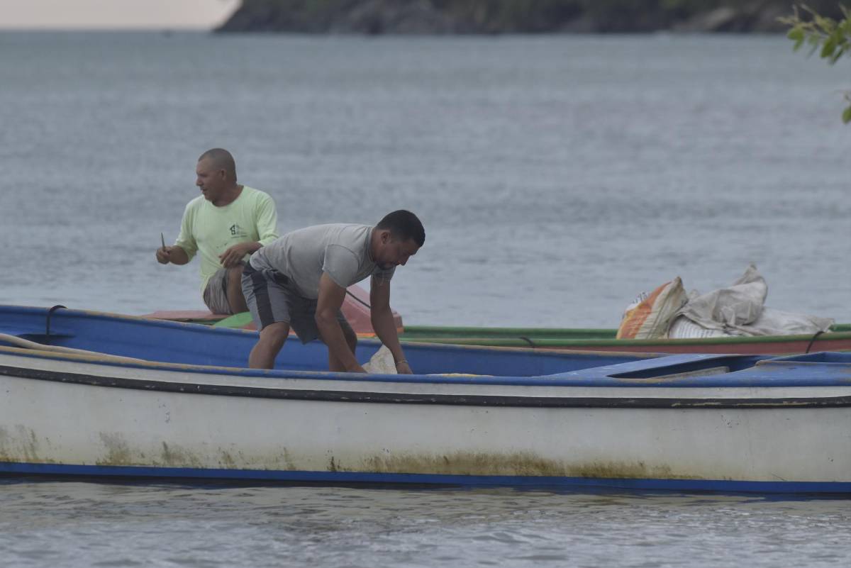 Quinito, un escondido paraíso en Colón, donde el verde del bosque se encuentra con el azul del mar
