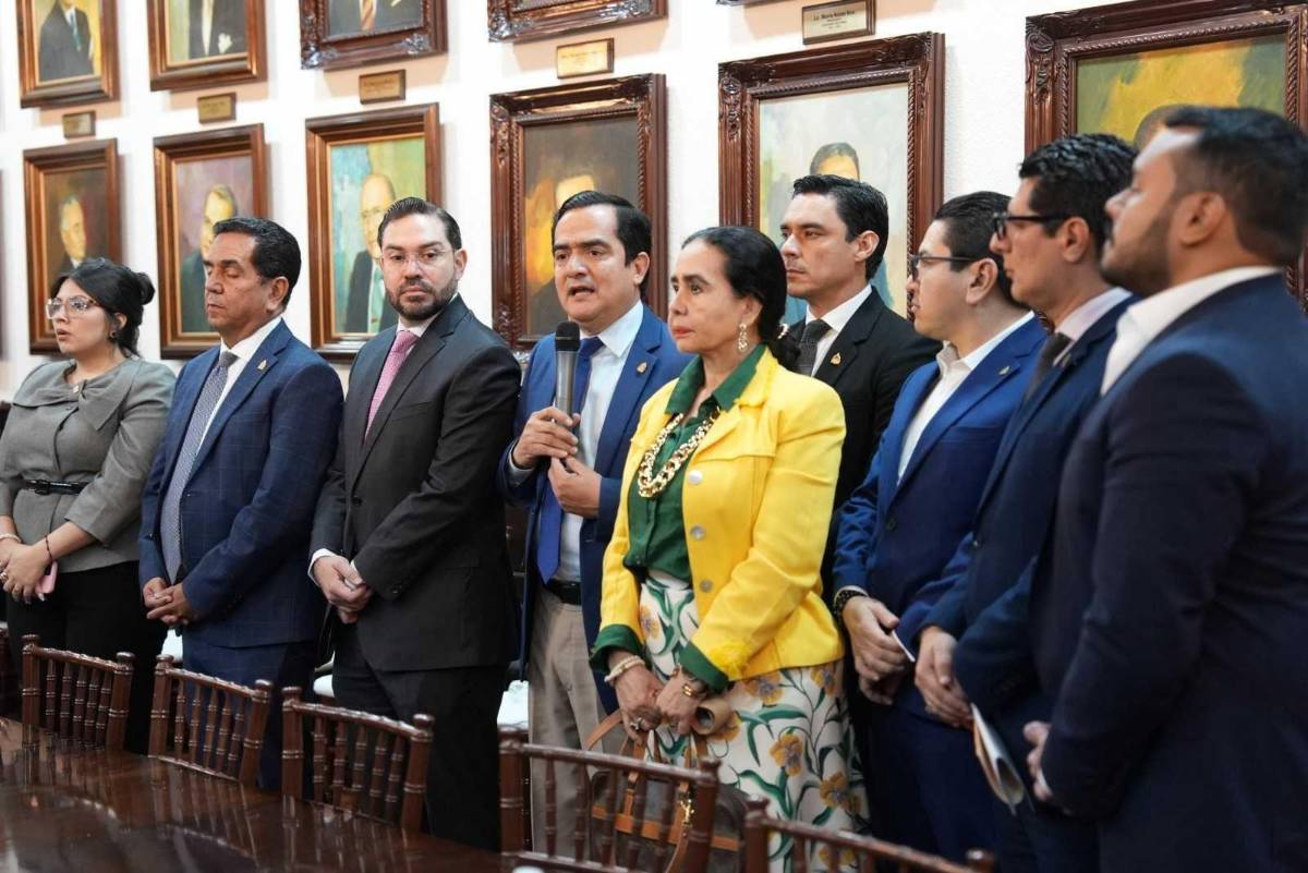 ¿Quiénes integran la comisión especial de juicio político contra Johel Zelaya?