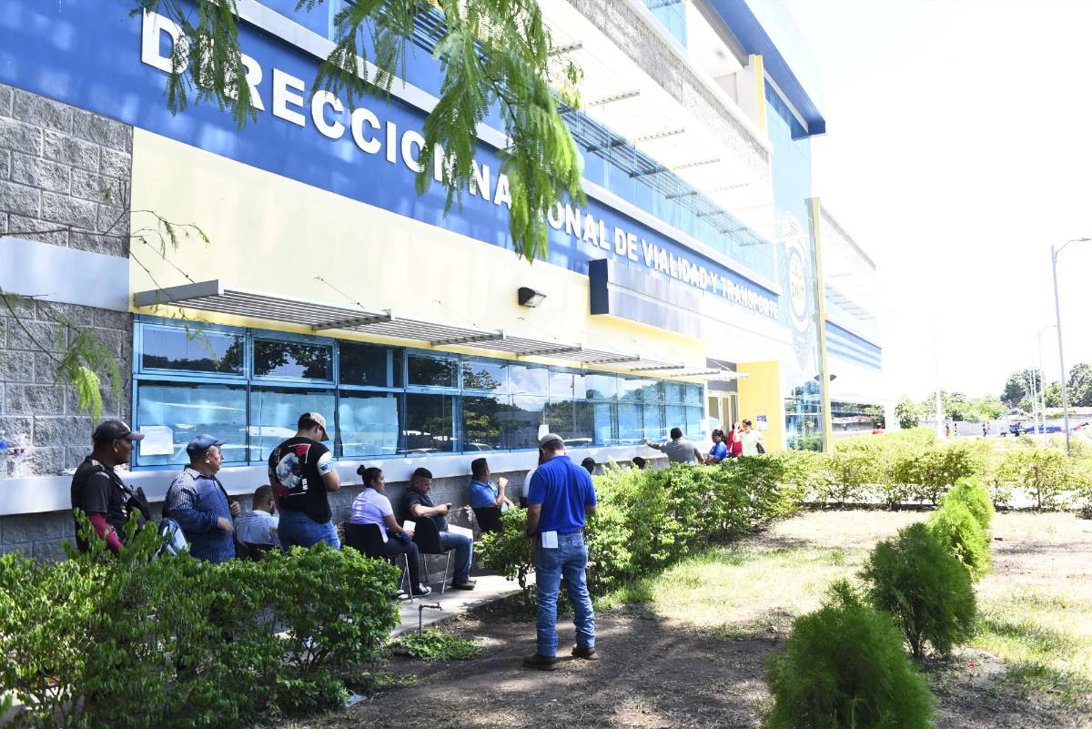 Más de 700 licencias está emitiendo Tránsito en San Pedro Sula
