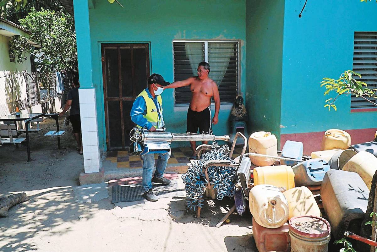 Hallan zancudos en 35 de cada 100 casas en Las Palmas