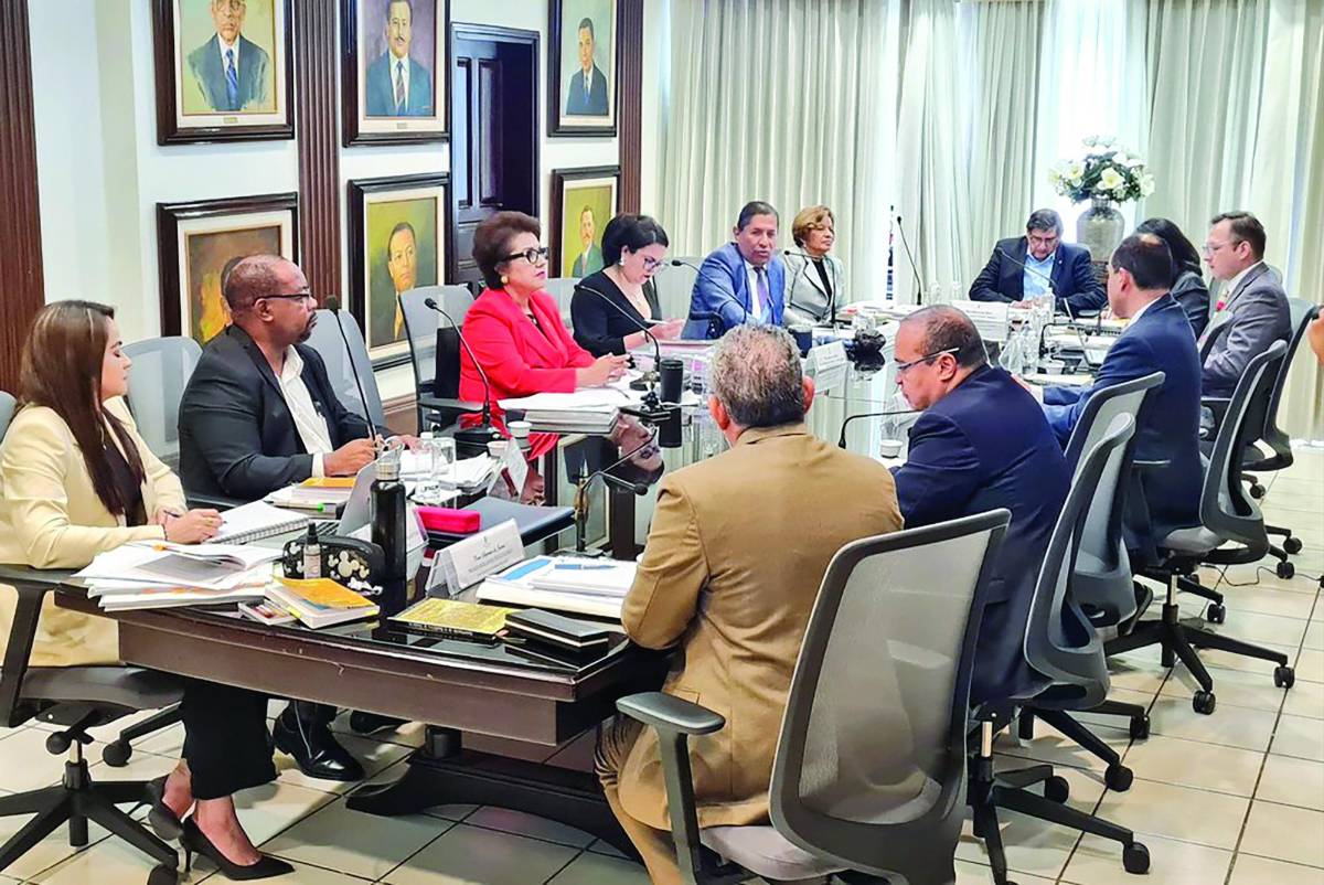 Las zede: el panorama tras declararlas inconstitucionales