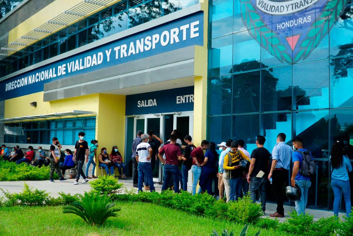 Tránsito ya tiene material para licencias de conducir