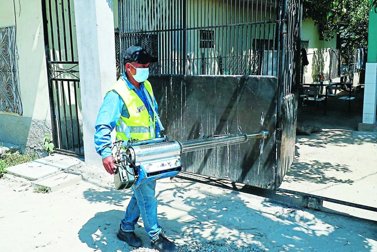 Salud registra 40% más de casos de dengue que el año pasado en San Pedro Sula