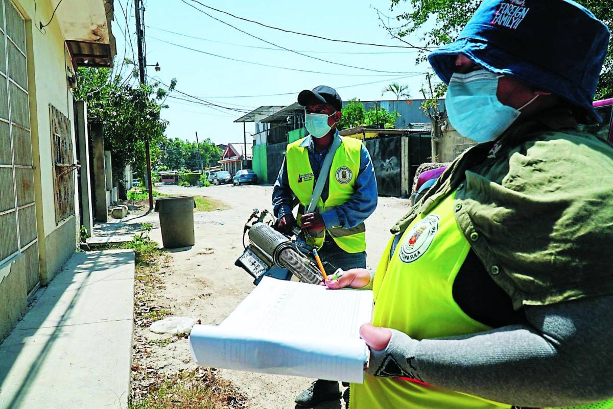 Hallan zancudos en 35 de cada 100 casas en Las Palmas