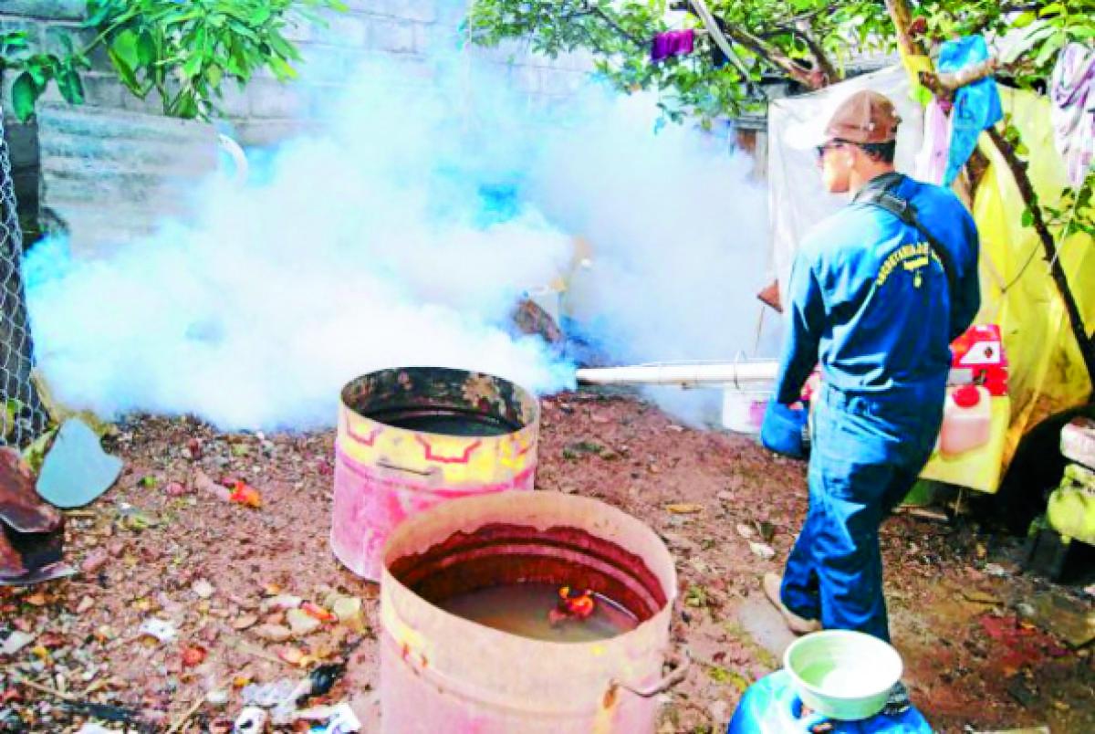 De cada 100 casas, al menos 60 tienen larvas de “Aedes aegypti”