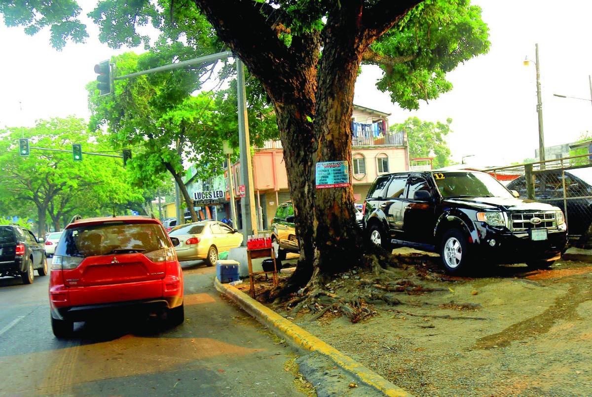 En un recorrido por la ciudad, el desorden es evidente: .