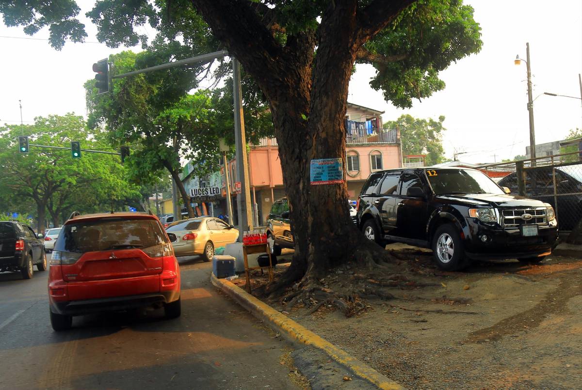 207 mil amparados con amnistía del IP