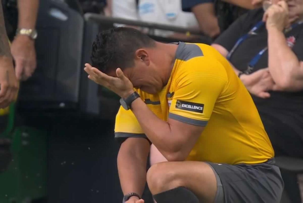 El juez de línea se llevó las manos al rostro por el fuerte dolor.