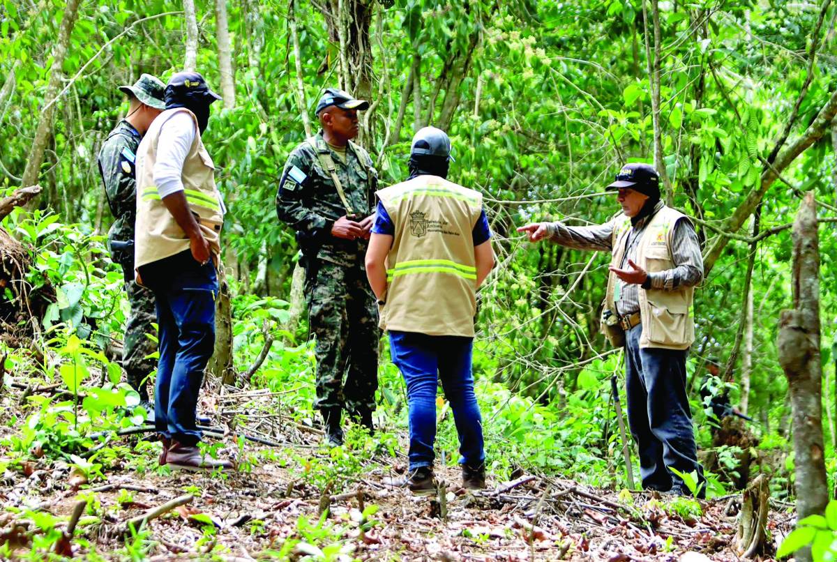 Intervienen montaña de El Merendón