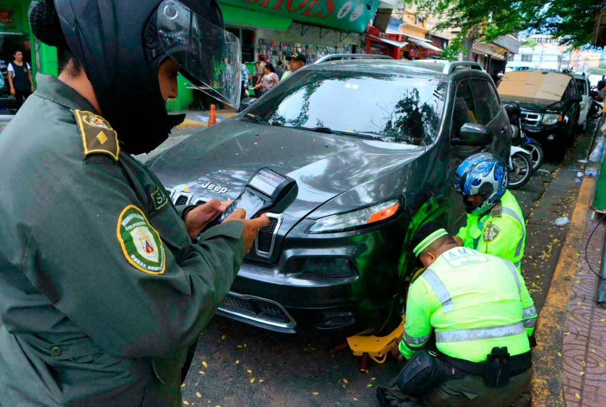 El que dañe una chacha va a  pagar hasta L10,000 de multa