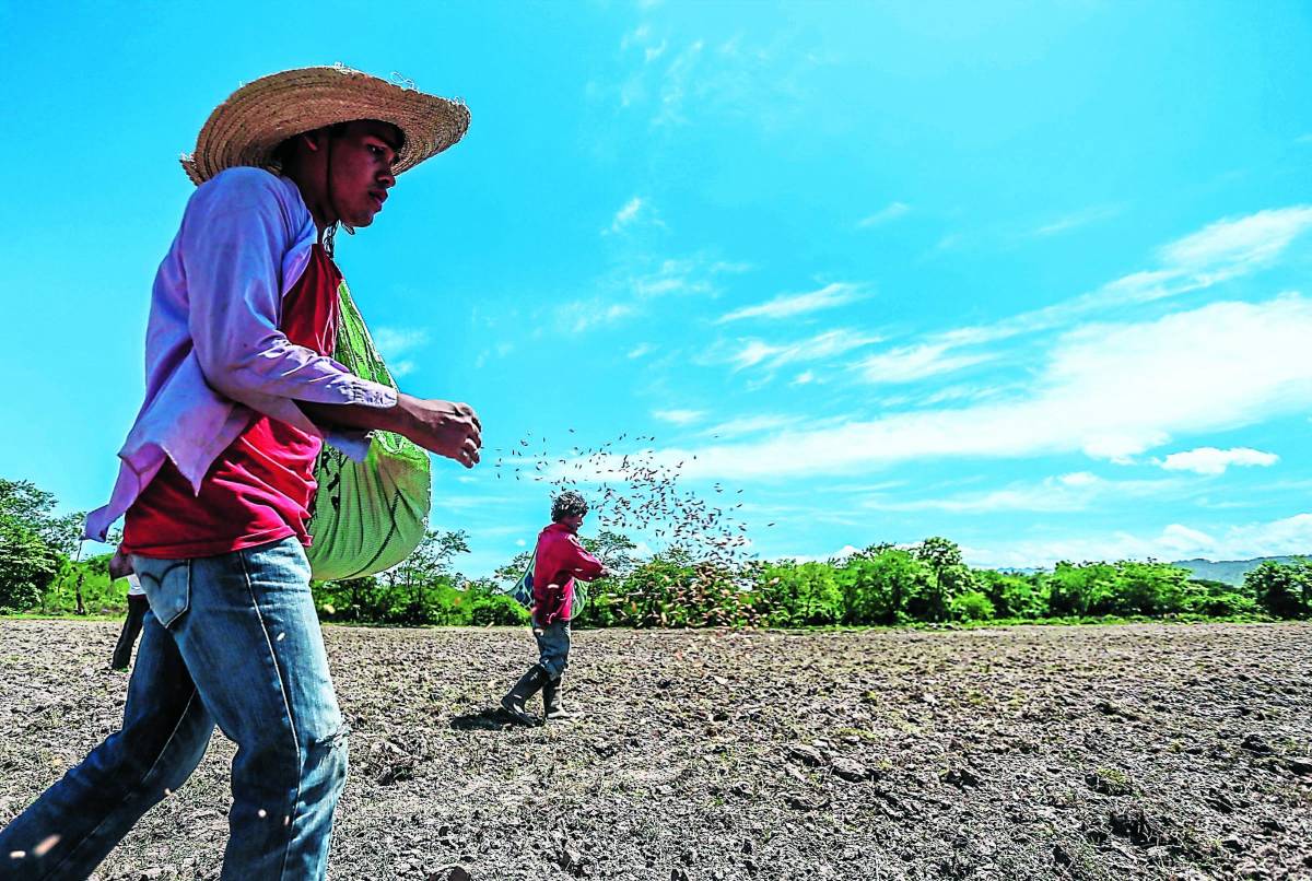 Municipios del corredor seco esperan técnicos agrícolas