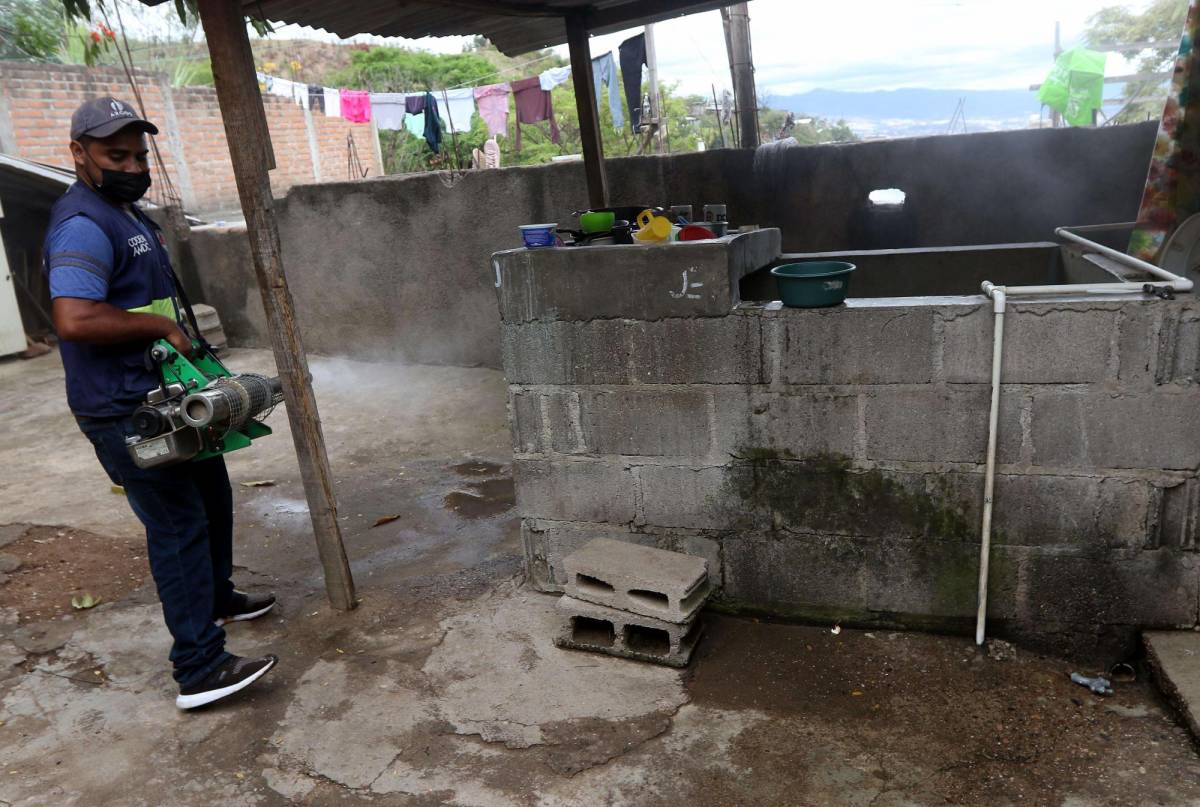 Lanzan campaña para prevenir el dengue en San Pedro Sula