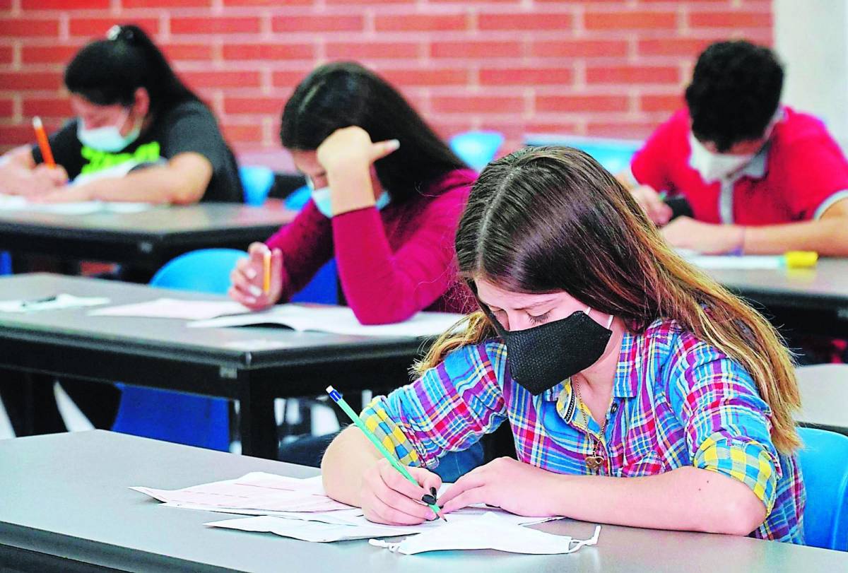 Estudiantes de Cortés son los que tienen mejor índice de aprobación en la PAA