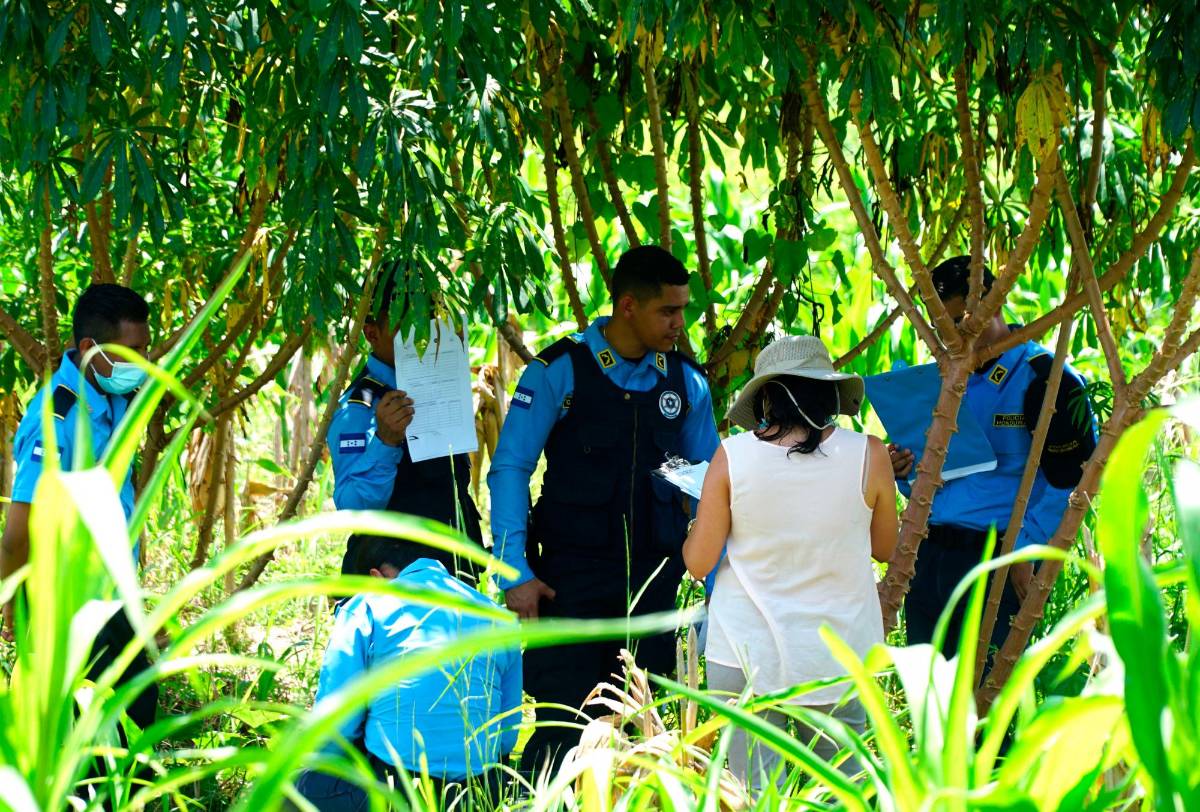 Matan a obrero de empresa bananera en La Lima