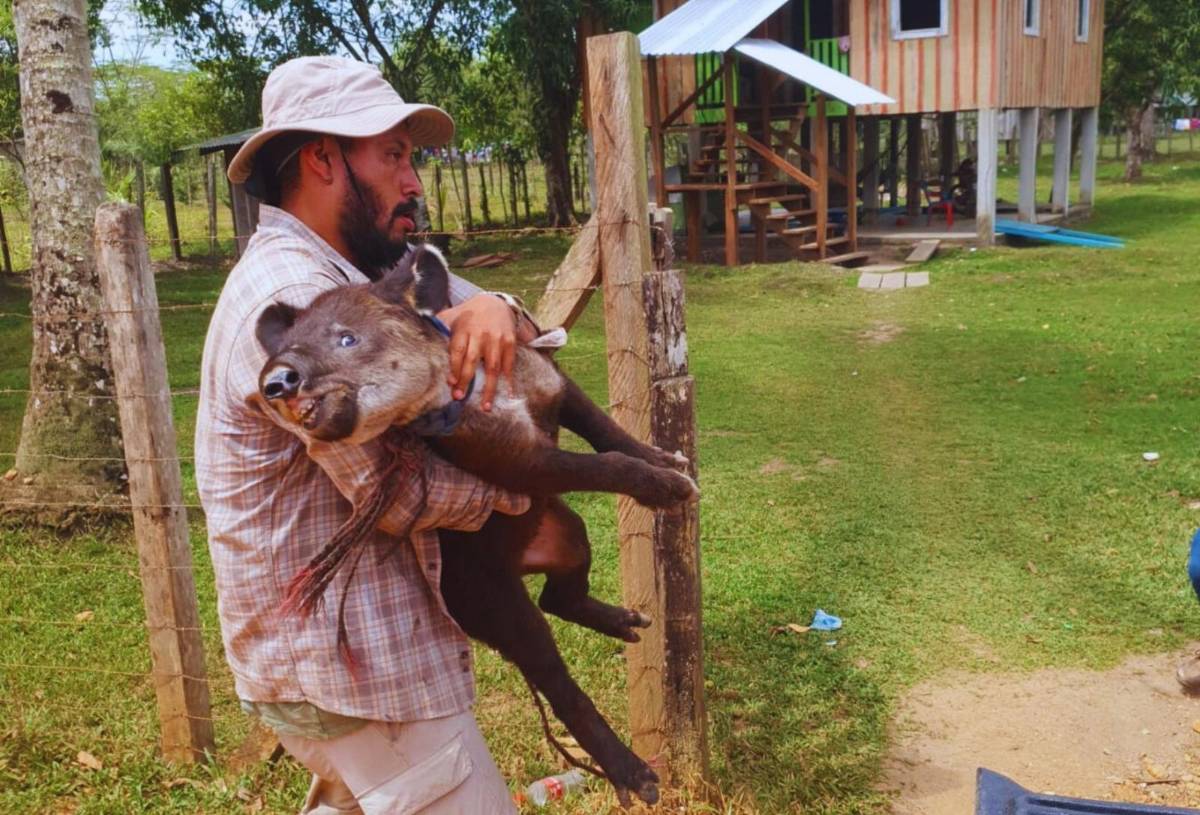 La reserva alberga una biodiversidad impresionante, con una gran variedad de especies vegetales y animales.