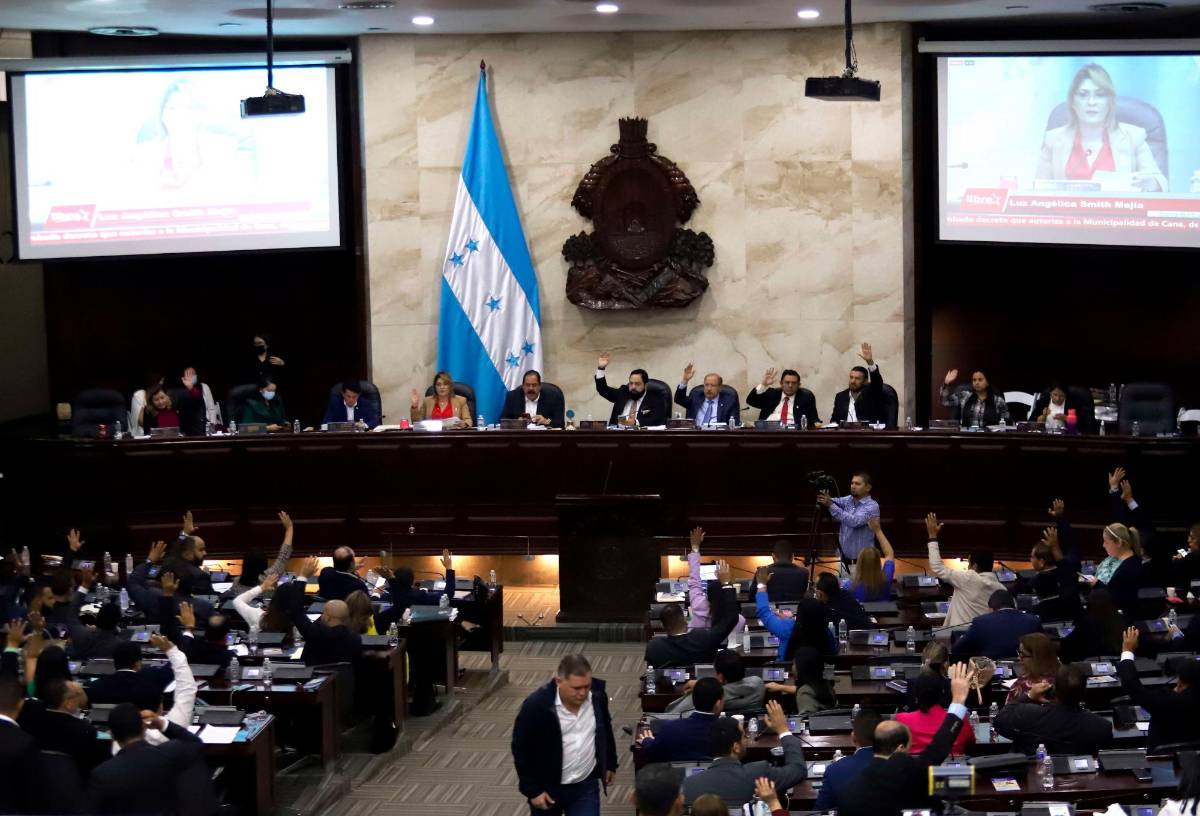 Dicen que Libre busca sesionar vía Zoom