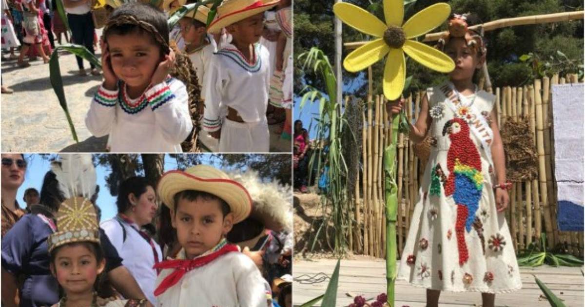 Día del Indio Lempira: Niños cautivan con sus trajes para conmemorar al  cacique - Diario La Prensa