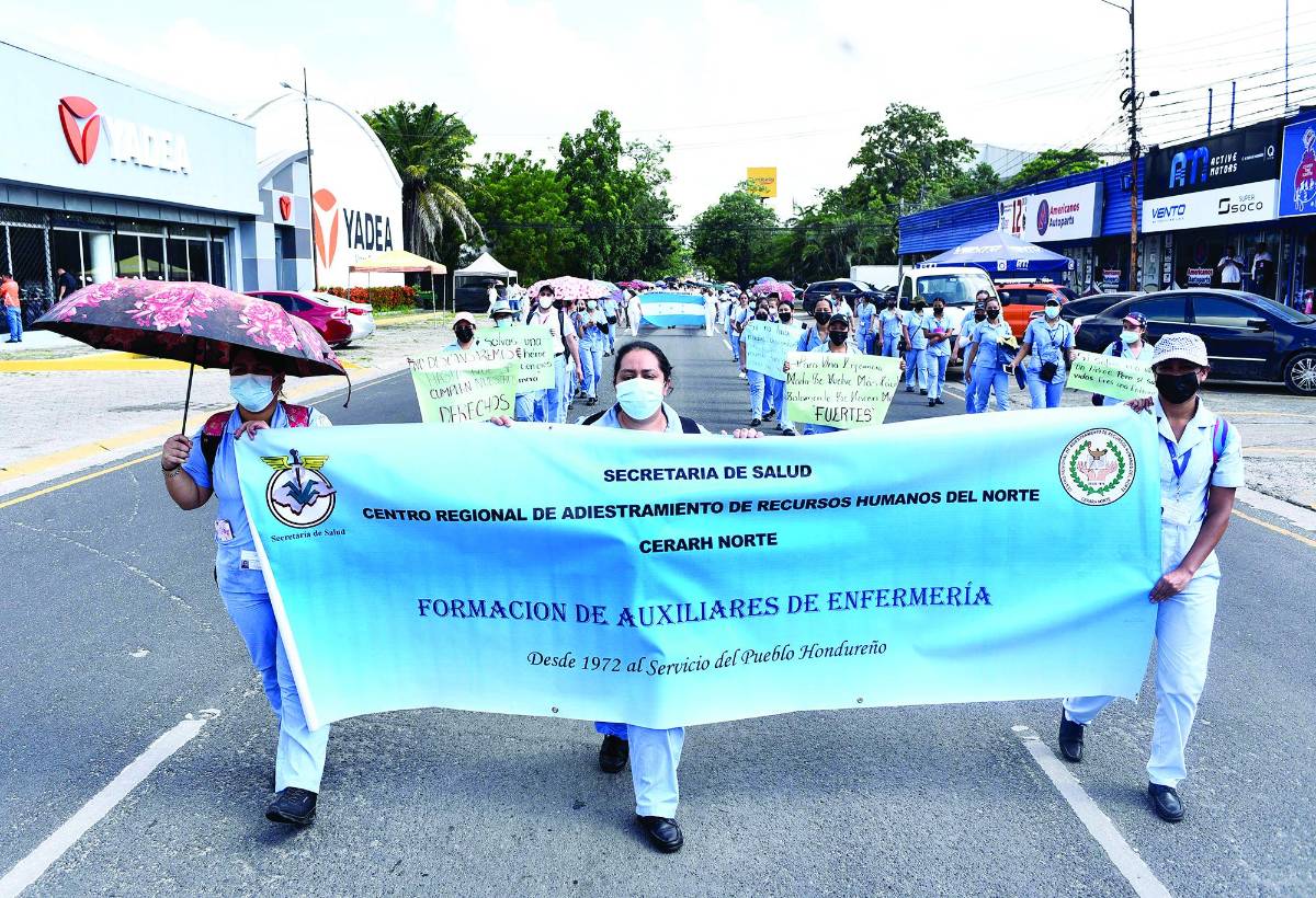 Técnicos universitarios no podrán laborar para el Estado
