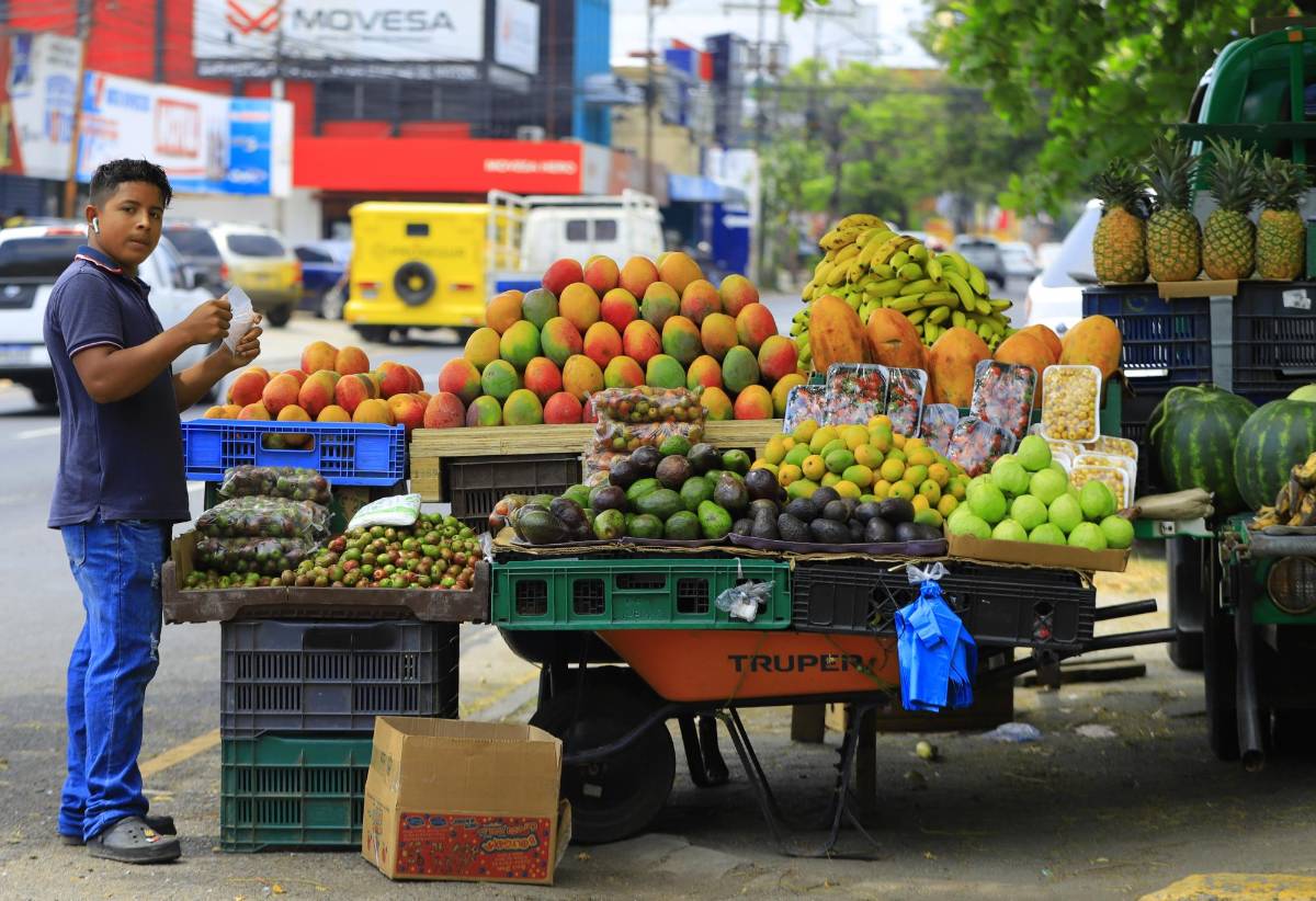 El Gobierno debe crear las condiciones necesarias para que los negocios en la informalidad se legalicen.
